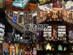-雪灵魔法世界SHELLY’S TAROT(大良桂畔里店)