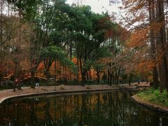 -共青国家森林公园-售票处