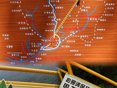 -朱雀国家森林公园