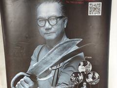 -温鉴良实用咏春拳
