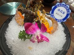 -东海怡品海鲜豆捞(舟宿夜江店)