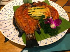 -紫滇源云南生态菜(丹凤街店)