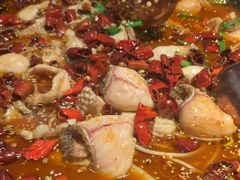 -蜀都丰 川菜·水煮活鱼(万象九宜城店)