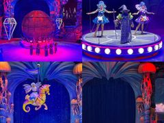 -海合安武汉极地海洋公园