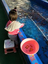 -萌宠亲子动物乐园(槐房万达店)