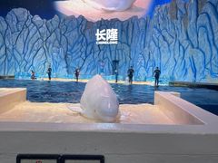 -珠海长隆海洋王国