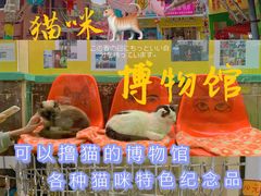 -猫咪博物馆(顶澳仔猫街店)