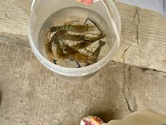 -粮心小农·大头虾亲子生态园(长发店)