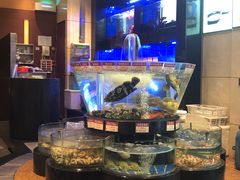 大堂-陶陶居海鲜酒家(新马路店)