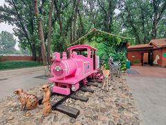 -北京野生动物园