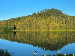 -五营红松林海景区