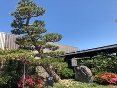 -南紀白浜 浜千鳥の湯 海舟