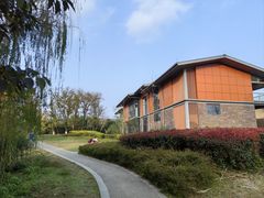 -白鹭湾湿地公园