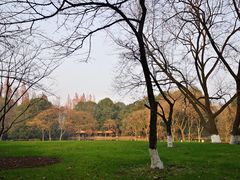 -九曜山