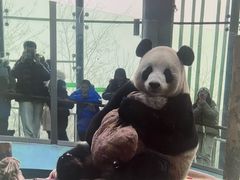 -大连森林动物园