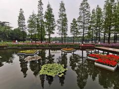 -圩墩遗址公园