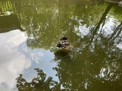 -沈阳鸟岛
