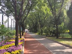 -中国政法大学(昌平校区)