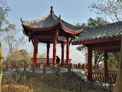 -攀枝花公园