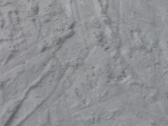 -太子岭滑雪场
