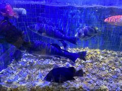 -珍宝轩海鲜火锅(碧湖大厦店)