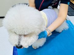 -美联众合动物医院·24h京西诊疗中心