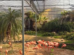 -无锡动物园·太湖欢乐园