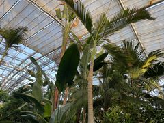 -北京植物园-展览温室