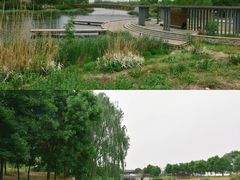 -马家湾湿地公园