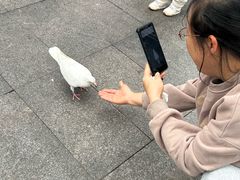 -万达广场(广州番禺店)