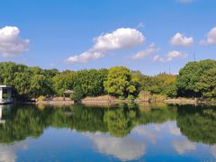 -上海共青森林公园