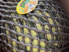 -西郊国际农产品交易中心