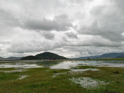 -纳帕海依拉草原