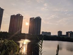-广东花都湖国家湿地公园
