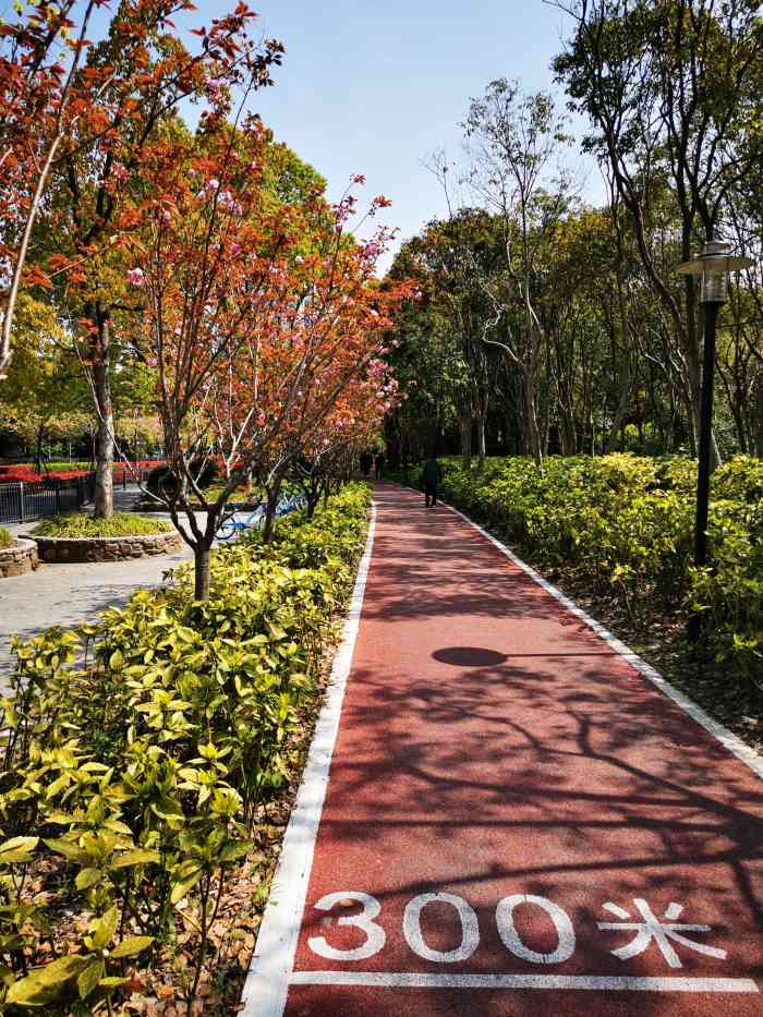 黄兴绿地-"98黄兴绿地9802很大02 03也很."-大众点评移动版