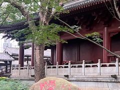 -绳金塔