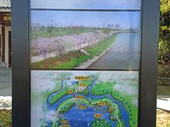 -海珠湖公园