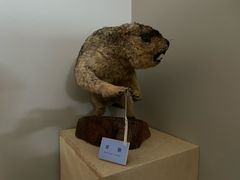 -国家自然博物馆