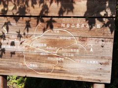 -阳台山自然风景区