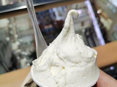 -野人先生现做冰淇淋(西安赛格店)
