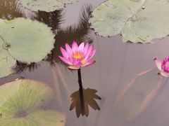 -华南国家植物园-售票处