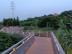 -广东花都湖国家湿地公园