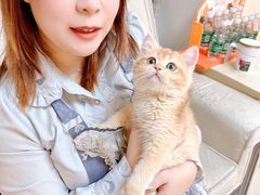 -lincat·猫舍(广州店)
