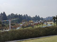 -空港花田景区