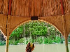 -美的鹭湖森林度假区