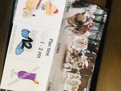 -TrueLove @ Neverland (Husky Cafe)
