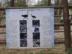 -青藏高原野生动物园