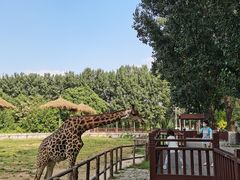 -北京野生动物园