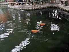 -南宫五洲植物乐园