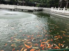 -广东圆玄道观